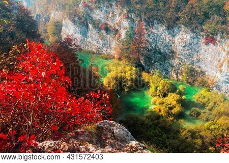 Aerial view on amazing Plitvice lakes in autumn season. Red bush tree on foreground. Plitvice National Park, Croatia. Landscape photography