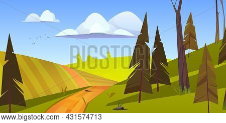Cartoon Nature Landscape, Rural Dirt Road Going Along Green Field With Conifers Trees. Path And Spru