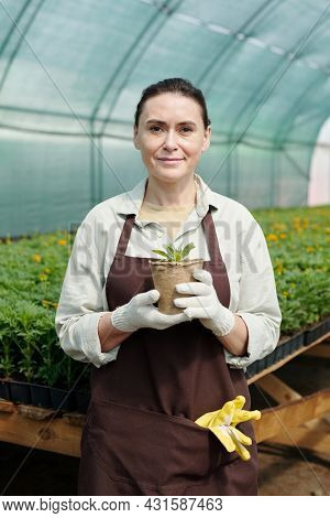 Gloved female fermer in apron holding pot with green seedling against workplace