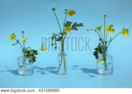 Small Yellow Flowers On The Blue Background
