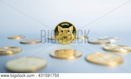 Shiba Inu Or Shib Coin Standing Centrally Placed Among Bunch Of Crypto Coins On Blue Background. Clo