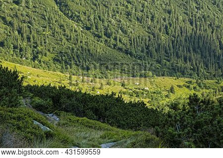 Rackova Valley, Western Tatras Mountains, Slovak Republic. Hiking Theme.