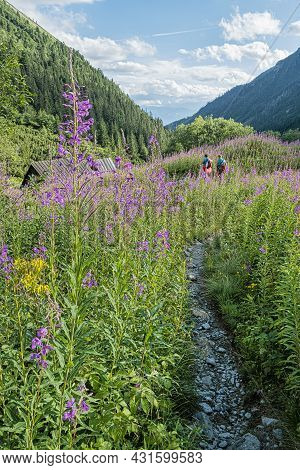 Rackova Valley, Western Tatras Mountains, Slovak Republic. Hiking Theme.