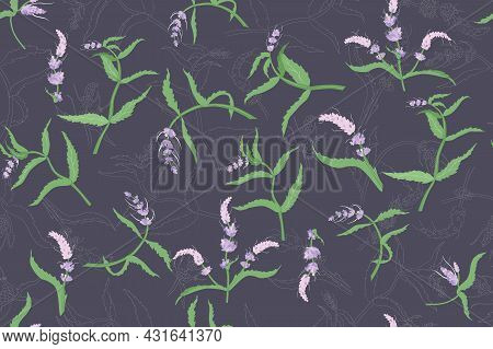 Seamless Pattern With A Colored Mentha Spicata