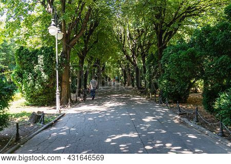 View Of Cismigiu Garden, Public Park With Tree Lined Paths. Cismigiu Park In Bucharest, Romania, 202