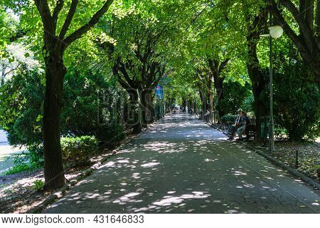 View Of Cismigiu Garden, Public Park With Tree Lined Paths. Cismigiu Park In Bucharest, Romania, 202