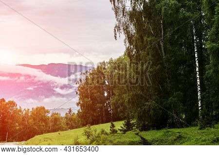 Vacation Landscape. Russian Altai Mountains. Multa Region. Holiday At Home. Staycation Concept. Long