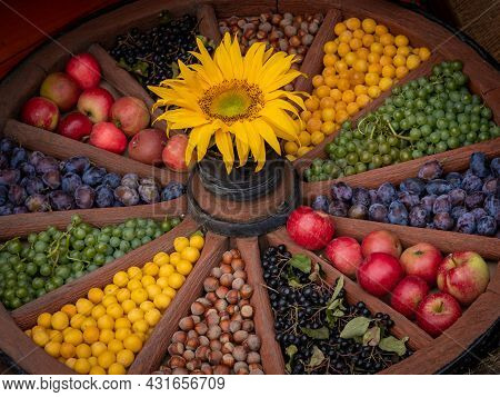 Colorful Sellection Of Fruits (apples, Plums, Berries, Nuts) In An Old Wooden Carriage Wheel, Decora