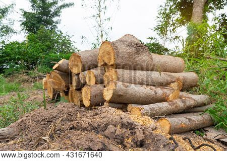 A Pile Of Stacked Firewood, Prepared For Heating The House, Firewood Harvested For Heating In Winter