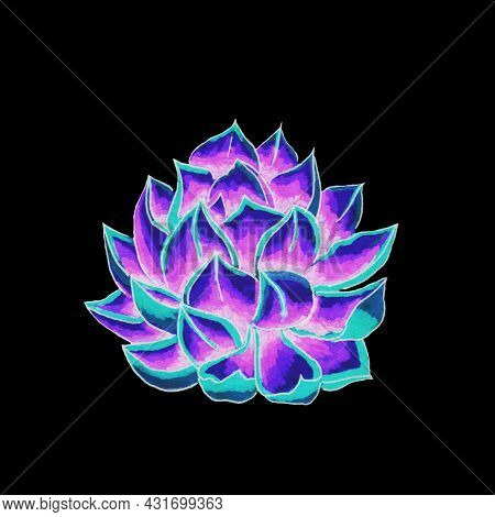 Succulents Flowers, Domestic Plant Grows In Pots And In Nature In The Desert Or In The Sand Stone Ro