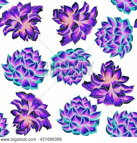 Succulents Flowers, Domestic Plant Grows In Pots And In Nature In The Desert Or In The Sand Stone Ro
