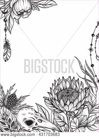 Beautiful Vector Frame With Black And White Bird Skull, Feverweed, Protea Flowers And Leaves.