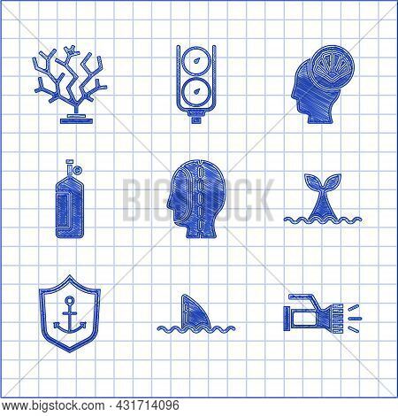 Set Diving Hood, Shark Fin Ocean Wave, Flashlight, Whale Tail, Anchor Inside Shield, Aqualung, Scall