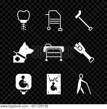 Set Dental Implant, Walker, Walking Stick Cane, Disabled Wheelchair, Separated Toilet For Disabled, 