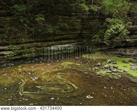 Duckweed Slowly Swirls In A Pool Of Water Called The Giant's Bathtub At Matthiessen State Park, Lasa