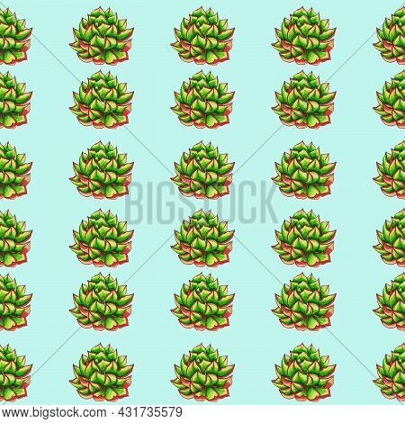 Succulents Flowers, Domestic Plant Grows In Pots And In Nature In The Desert Or In The Sand Stone Ro