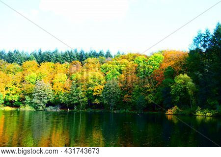 Caldera Lake Holzmaar Near Gillenfeld In Autumn Colors With Reflection In The Lake