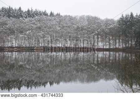 Holzmaar In Winter, Caldera Lake In The Eifel