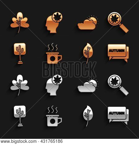 Set Cup Of Tea, Magnifying Glass With Leaf, Speech Bubble Text Autumn, Leaf Or Leaves, Tree, Sun And