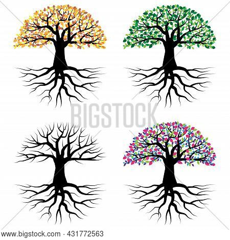 Four Seasons Tree. Watercolor Collection. Cartoon Illustration. Nature Art. Vector Illustration. Sto