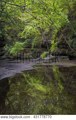 Green Leaves Dominate The Color Palate In A Canyon And Are Reflected In A Pool In The Stream, Matthi