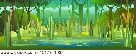 Shady Summer Forest Landscape. Swampy Coast With Cattails And Reed. Flat Style. Quiet River Or Lake.