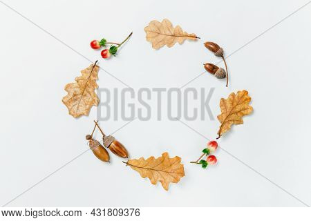Autumn Minimal Composition. Wreath Of Acorns, Golden Aok Leaves And Red Berries On White Background.