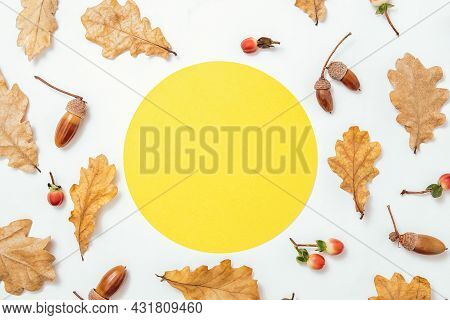 Autumn Minimal Composition. Wreath Of Acorns, Golden Aok Leaves And Red Berries On White Background.