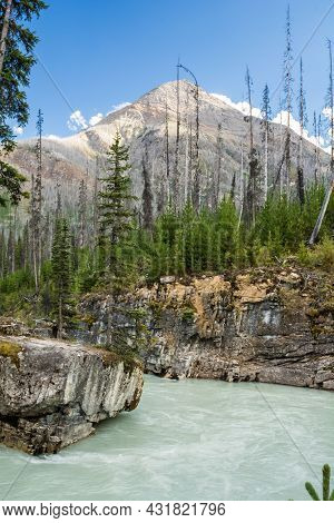 River In The Canyon, Interesting Colors. Marble Canyon At The Canadian Rockies In The Kootenay Natio