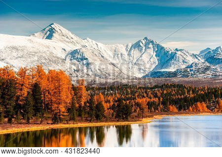 Kidelu Lake In Altai Mountains, Siberia, Russia. Snow-covered Mountain Peaks With Yellow Autumn Fore