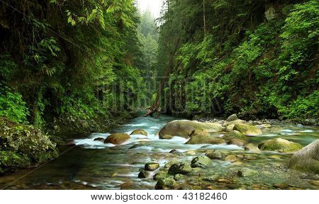 Lynn Canyon Creek
