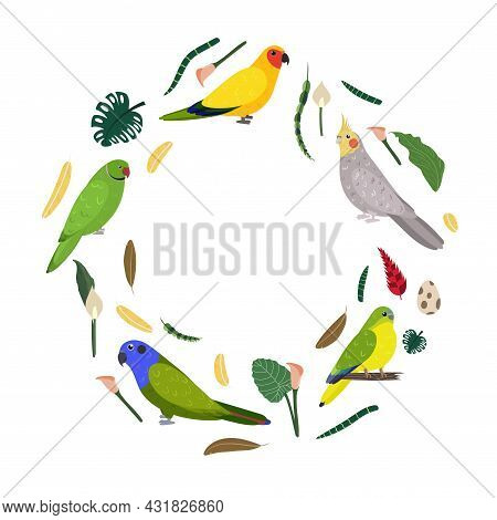 Design Template With Parrots In Circle For Kid Print. Round Composition Of Tropical Birds Rose Ringe