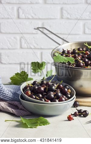 The Jostaberry (ribes X Nidigrolaria) Hybrid Of A Black Currant And Gooseberry