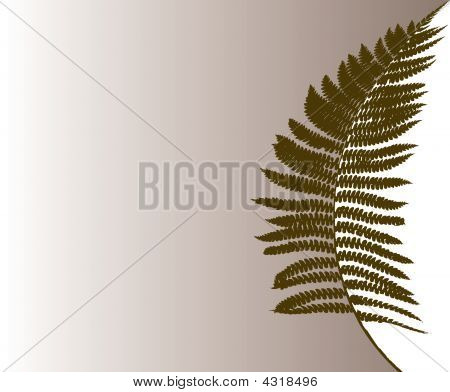 Felce Floral Background