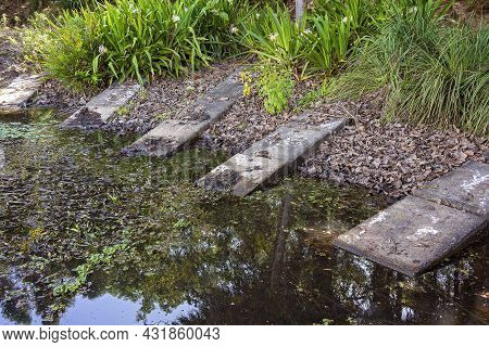 The Banks Of A Dirty Pond Lined With Plants And With Concrete Paving Stones Reaching Down To The Wat