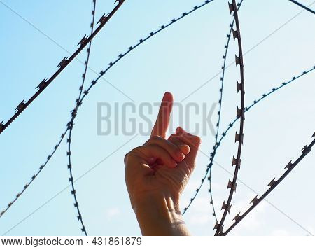 Hand Shows Middle Finger Against The Background Of Barbed Wire And Blue Sky