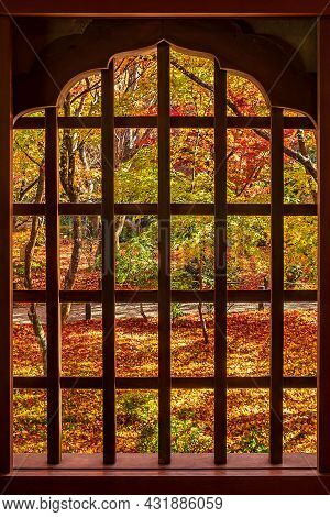 Frame Between Wooden Window And Beautiful Maple Tree In Japanese Garden At Enkoji Temple, Kyoto, Jap