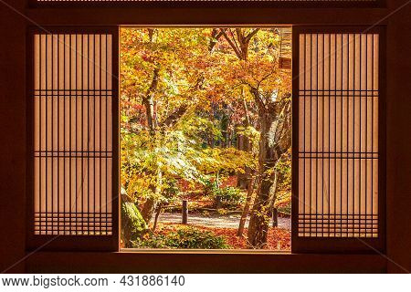 Frame Between Wooden Window And Beautiful Maple Tree In Japanese Garden At Enkoji Temple, Kyoto, Jap