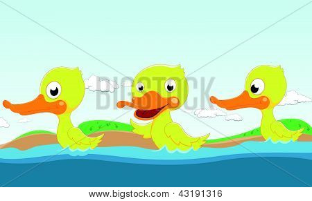 Schattige kleine eenden