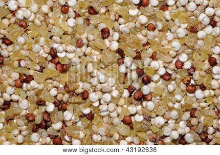เมล็ดแห้ง quinoa และข้าวสาลี bulgar
