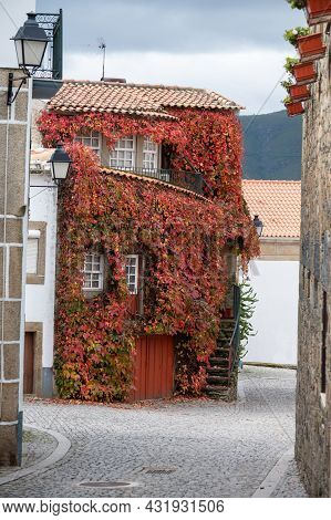 View Of Old Village Provesende In Heart Of Douro River Valley In Autumn, Wine Making Industry In Por