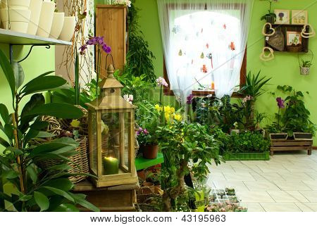 Numa loja de flores
