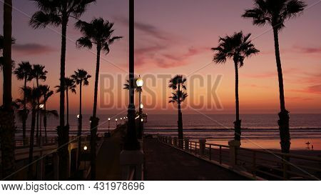 Palms Silhouette On Twilight Sky, California Usa, Oceanside Pier. Dusk Gloaming Nightfall Atmosphere