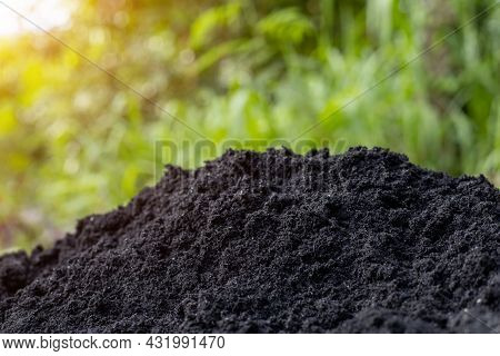 Soil And Black Husks To Prepare For Planting