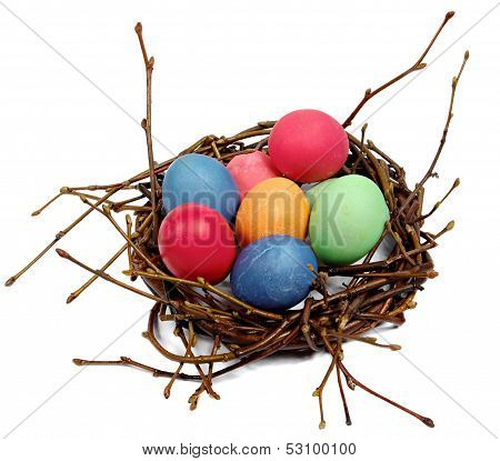 Colorful Easter eggs in  nest from branches