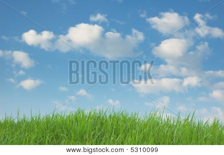 Grama verde e céu azul
