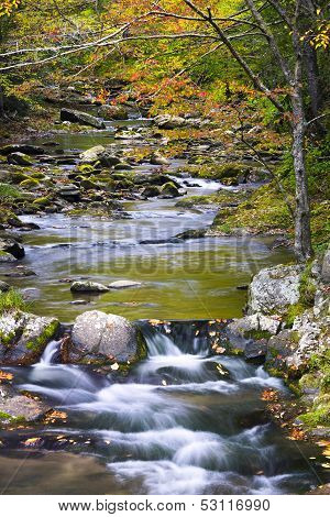 Fall Colors On Luarel Creek