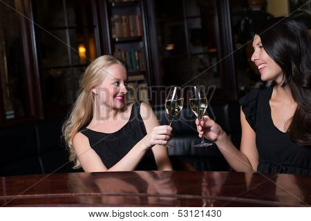 Two Beautiful Women Toasting Each Other