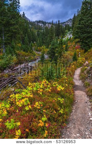 String Lake Trail