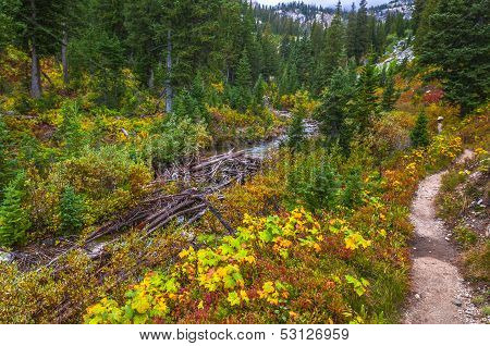 String Lake Trail